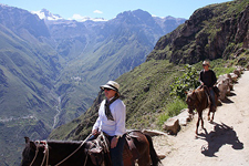 Peru-Arequipa-Colca Canyon Explorer Ride on Peruvian Pasos